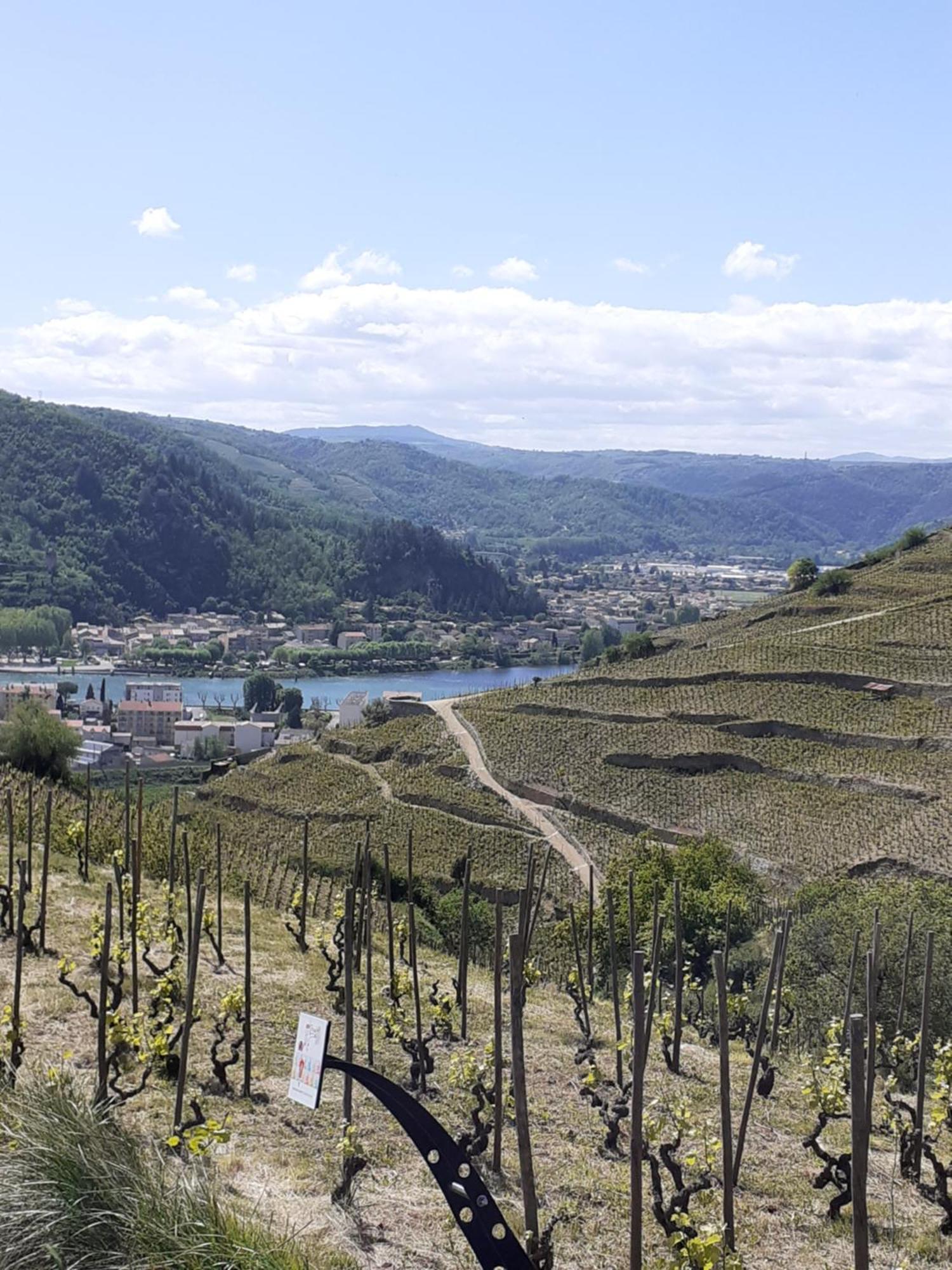 Gite Du Vigneron A La Terrasse Piscine Local Velos Tournon-sur-Rhone Exteriör bild